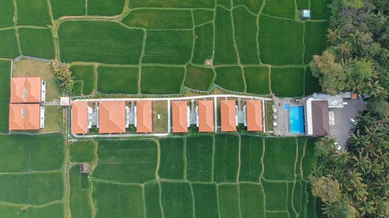Ubudone Exteriör bild
